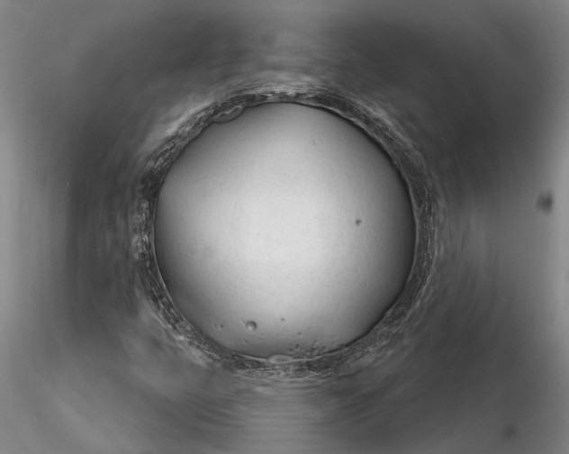 X0000116261399200912211727