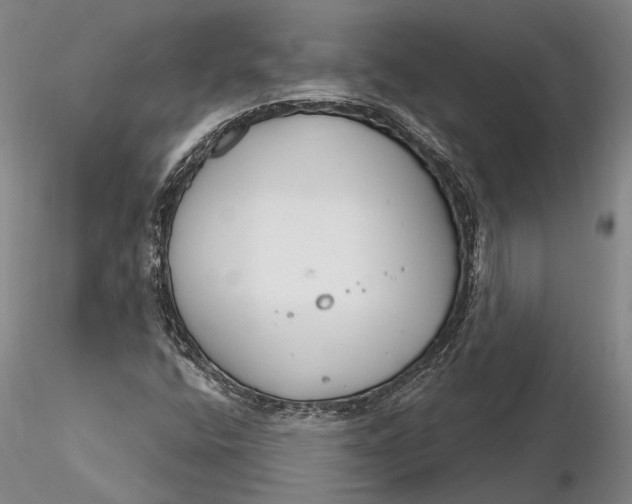 X0000116261400200912211727