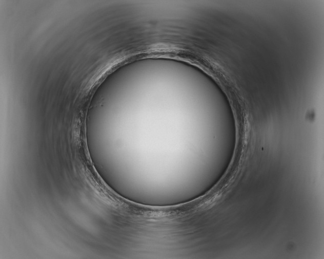X0000116261401200912211727