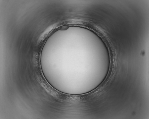 X0000116261403200912211727