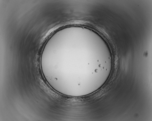 X0000116261404200912211727