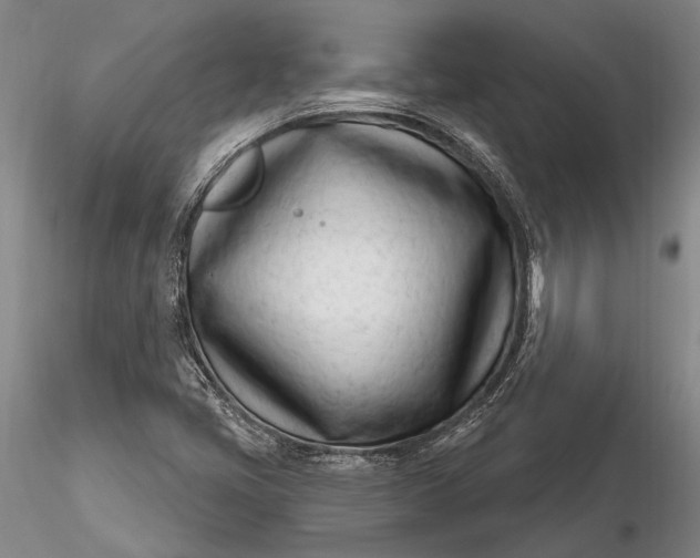 X0000116261405200912211727