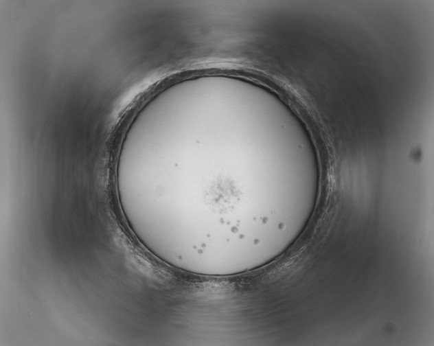 X0000116261406200912211727