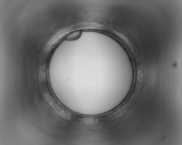 X0000116261407200912211727