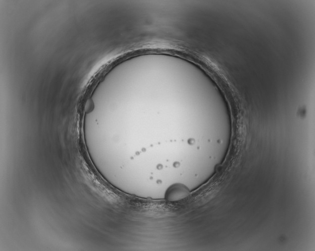 X0000116261408200912211727