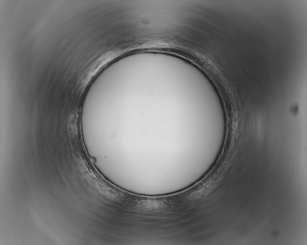 X0000116261409200912211727