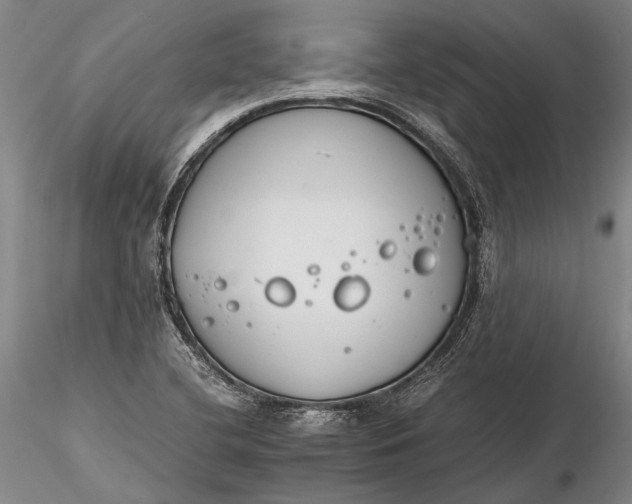 X0000116261412200912211727