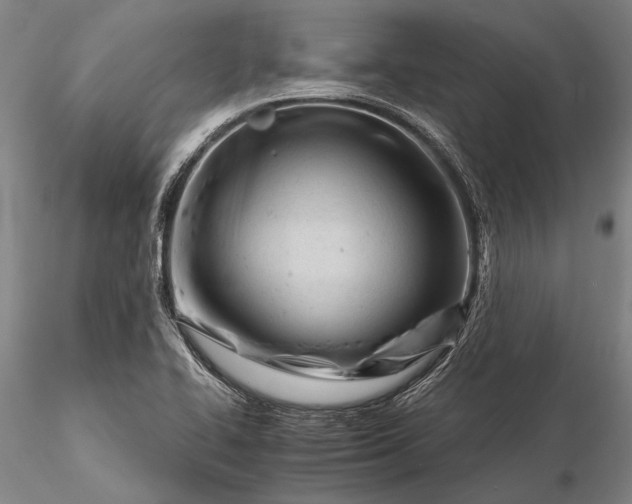 X0000116261414200912211727