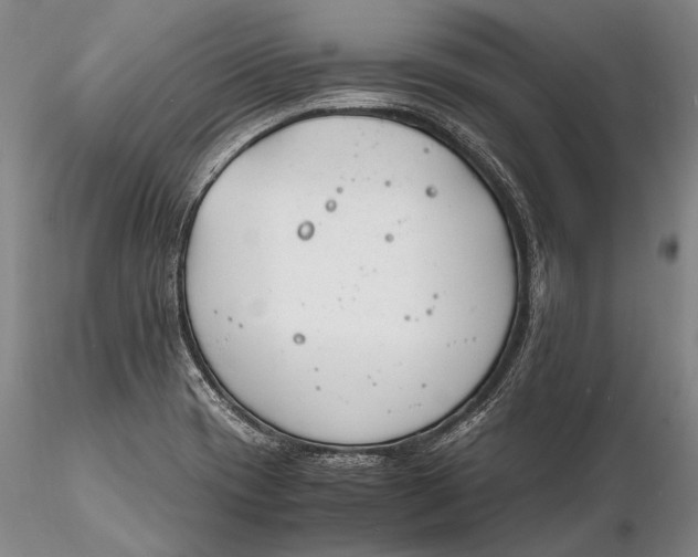 X0000116261417200912211727
