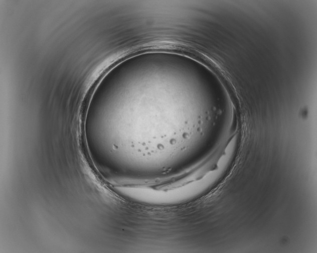 X0000116261418200912211727