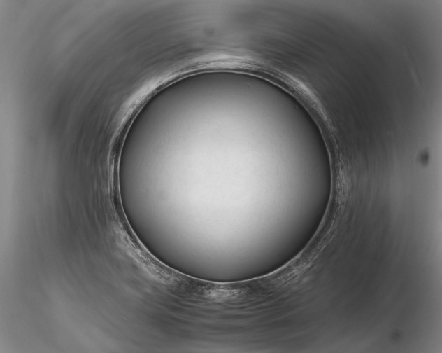 X0000116261419200912211727