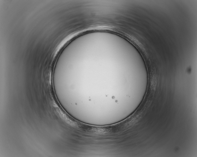 X0000116261420200912211727
