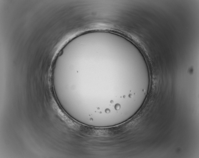 X0000116261421200912211727