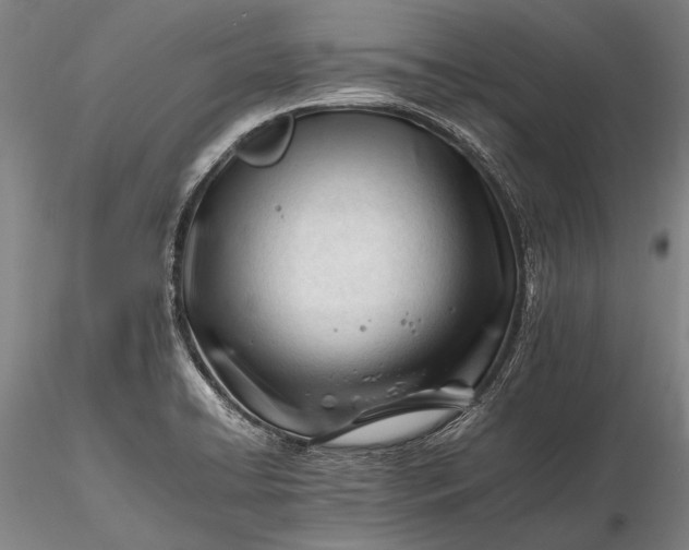 X0000116261422200912211727