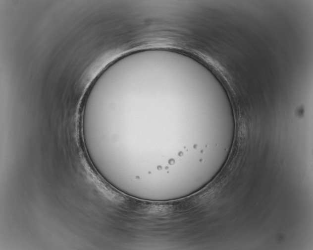 X0000116261423200912211727