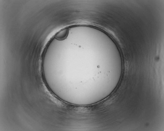 X0000116261424200912211727