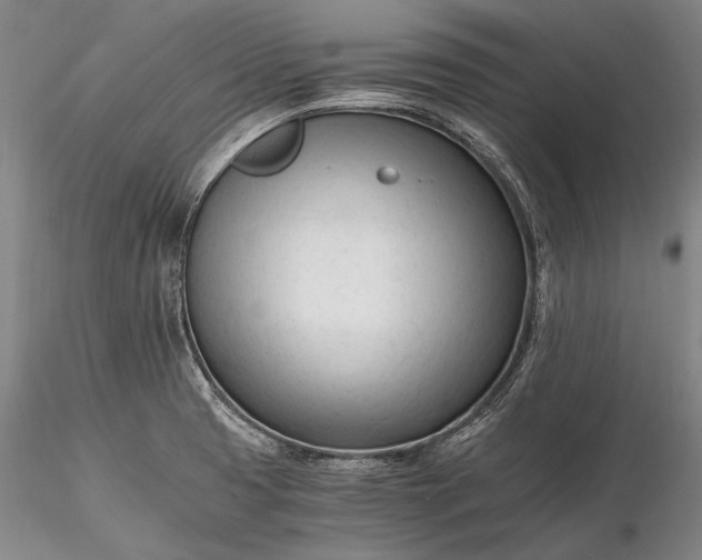 X0000116261425200912211727