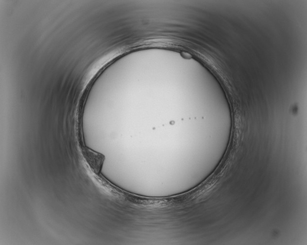 X0000116261426200912211727