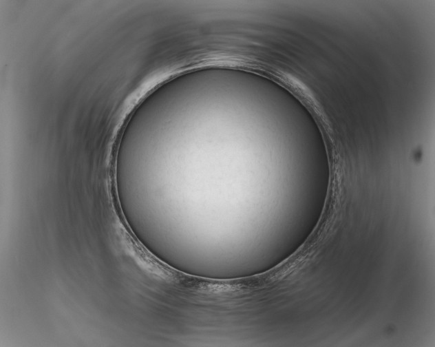 X0000116261427200912211727