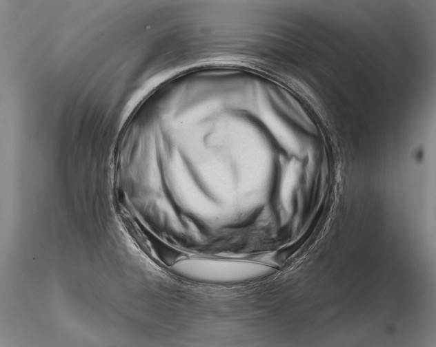 X0000116261428200912211727