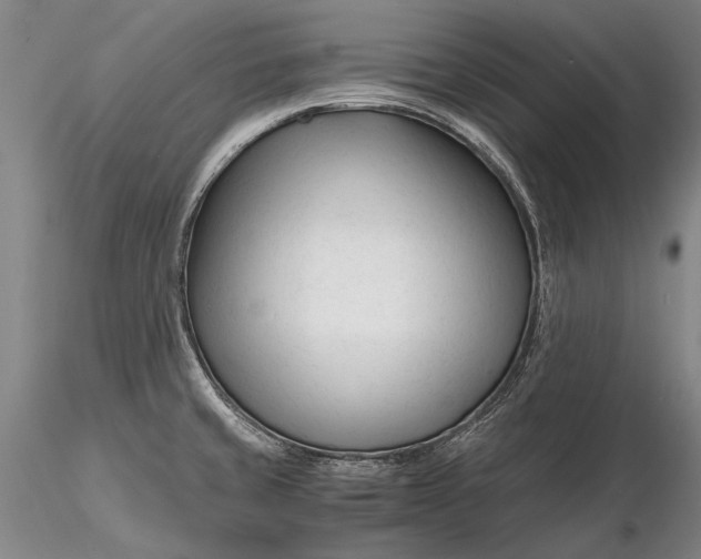 X0000116261429200912211727