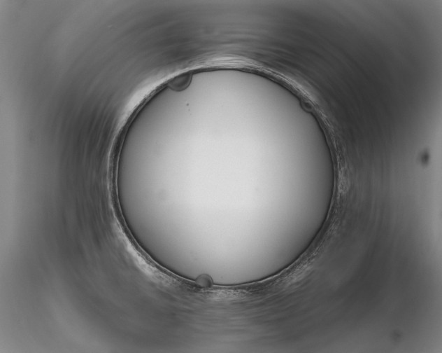 X0000116261430200912211727