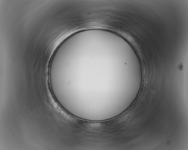 X0000116261431200912211727