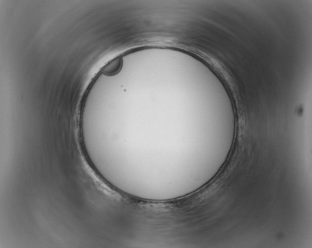 X0000116261432200912211727