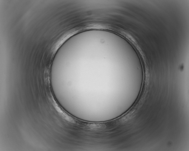 X0000116261433200912211727