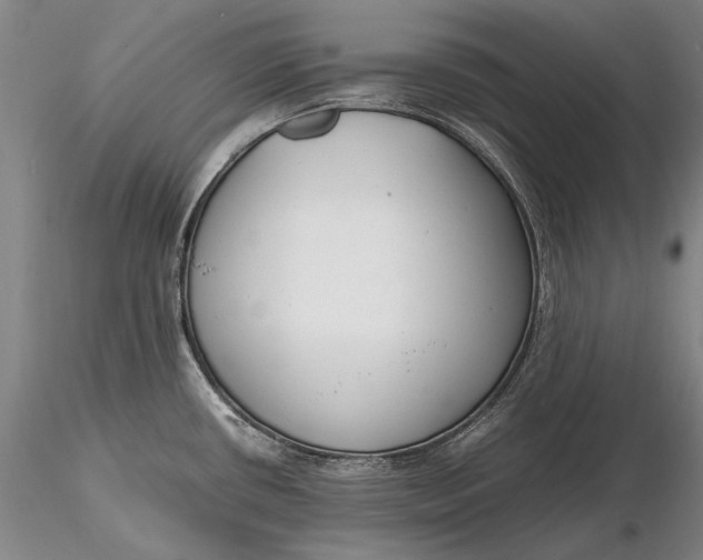 X0000116261434200912211727