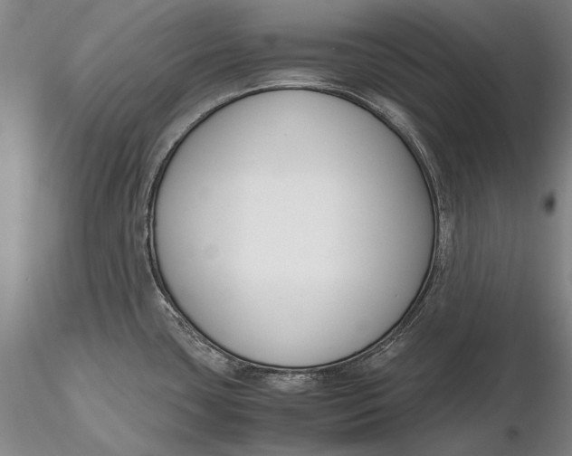 X0000116261435200912211727