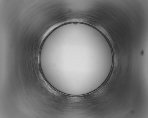 X0000116261436200912211727