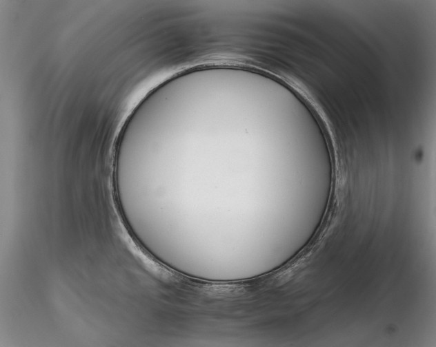 X0000116261437200912211727