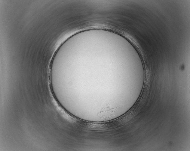 X0000116261439200912211727
