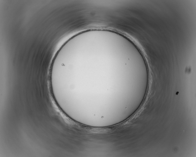 X0000116261440200912211727