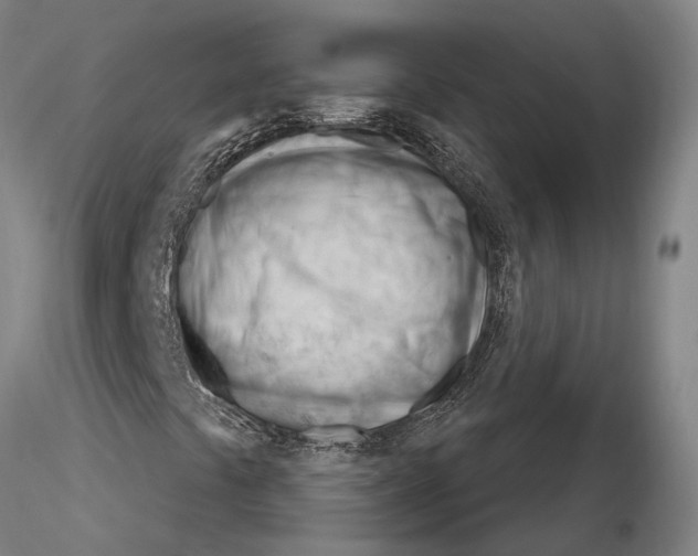 X0000116261441200912211726