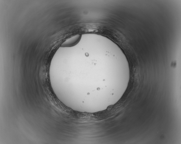 X0000116261442200912211726