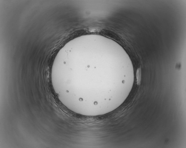 X0000116261443200912211726