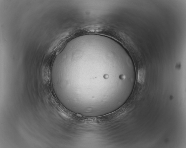 X0000116261444200912211726