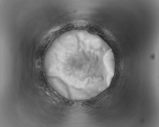 X0000116261445200912211726