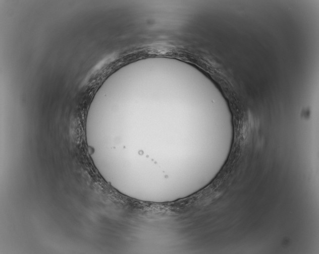 X0000116261446200912211726