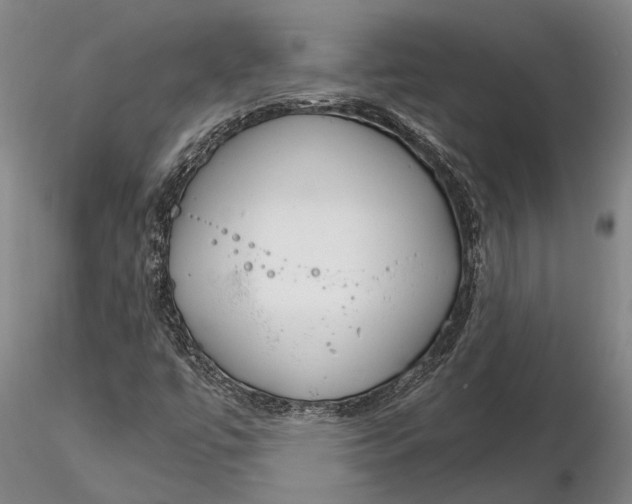 X0000116261447200912211726