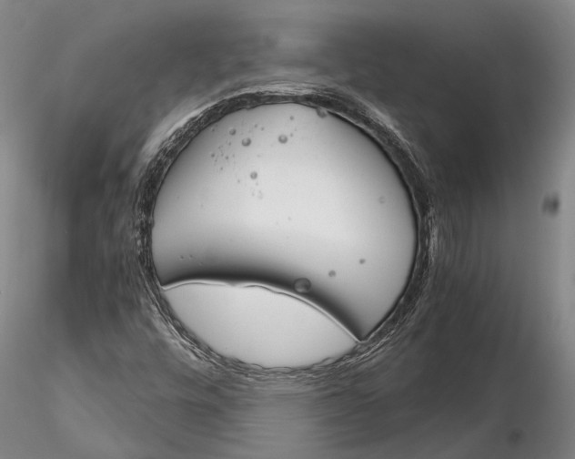 X0000116261448200912211726