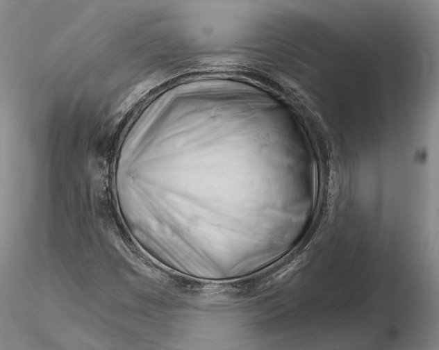 X0000116261449200912211726