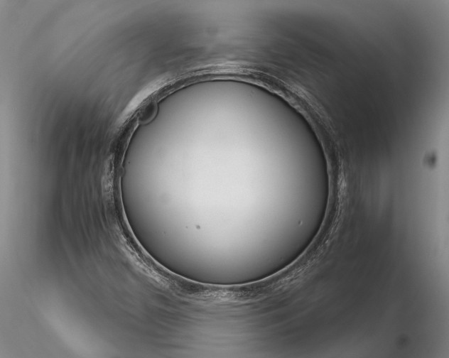 X0000116261450200912211726