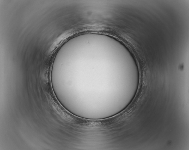 X0000116261451200912211726