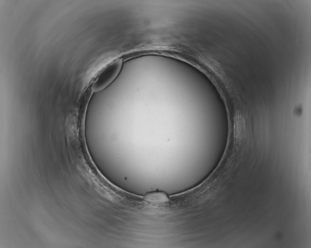 X0000116261452200912211726
