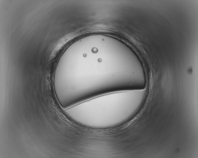 X0000116261453200912211726