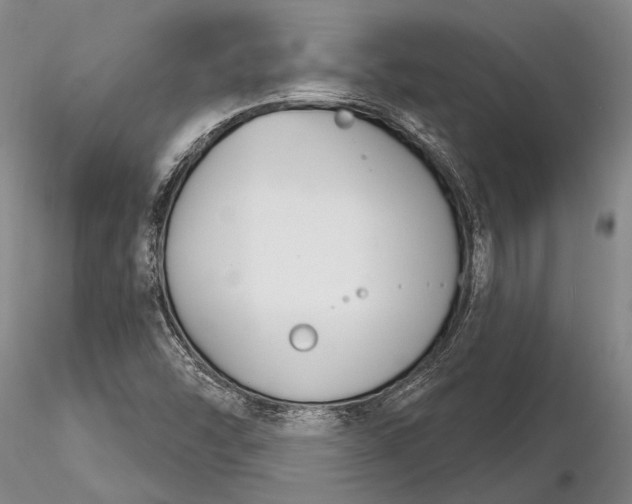 X0000116261454200912211726