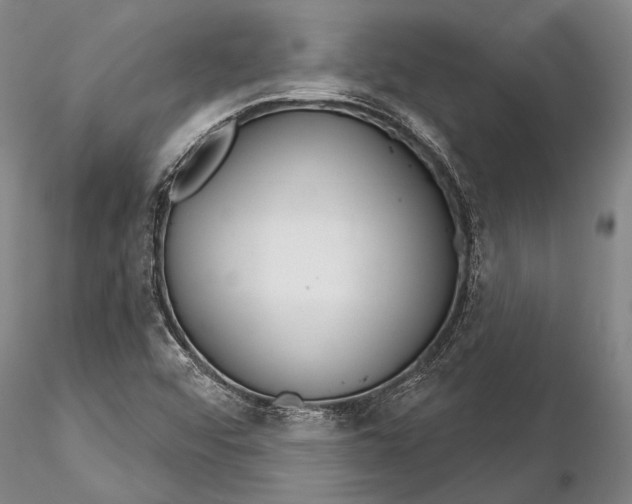X0000116261456200912211726